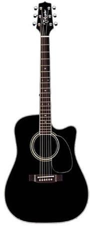 Photo annonce TAKAMINE EF 34