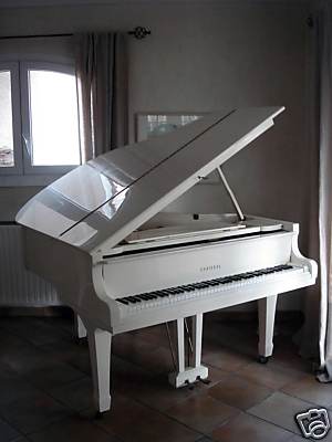 Photo annonce Piano CHOISEUL quart de queue Blanc
