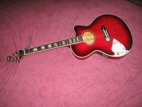Photo : ARIA FET 100 electro acoustique
