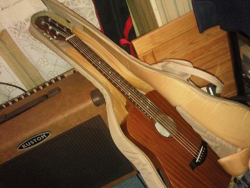 Photo annonce Guitare Electro de Voyage Baby SX