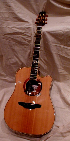 Photo annonce Takamine serie limitee 2003