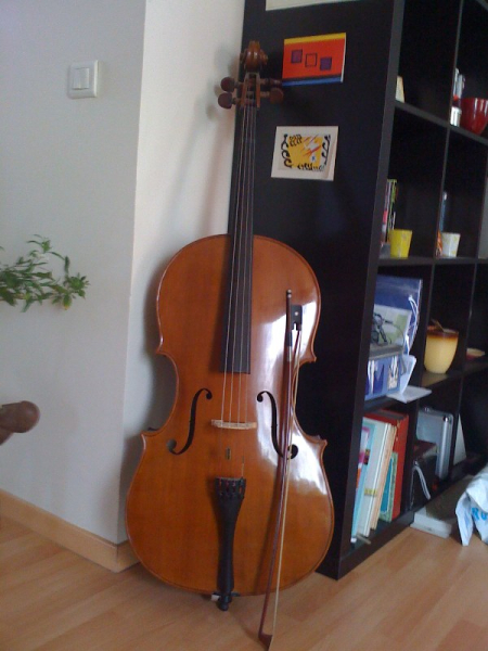 Photo annonce Violoncelle d etude entier