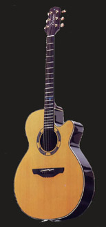 Photo : Takamine Santa Fe 45C
