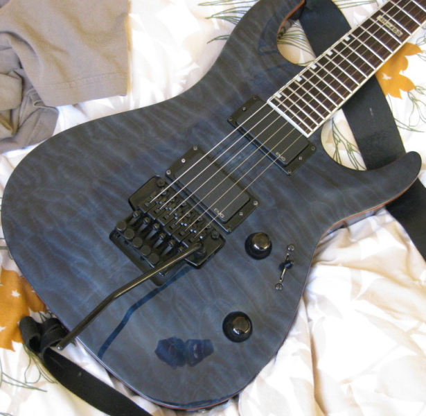Photo annonce ESP LTD MH 400 & Housse