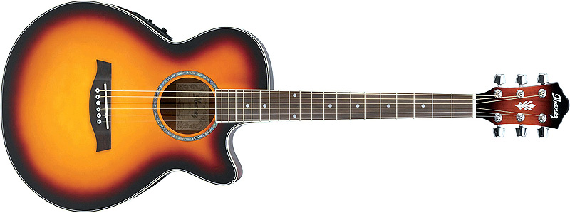 Photo annonce Electro acoustique Ibanez AEG10 EVS