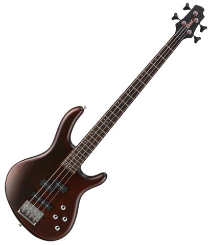 Photo : Basse Cort new action bass & Housse