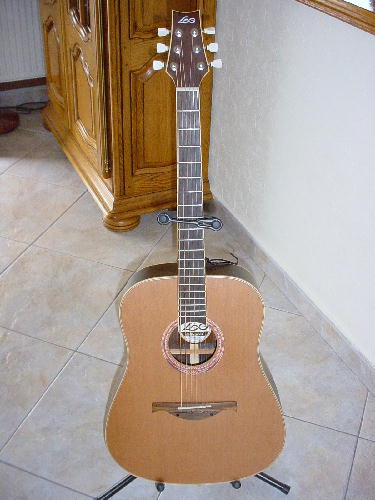 Photo annonce Guitare LAG 300D