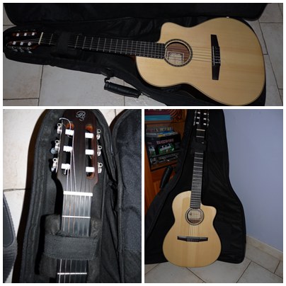 Photo annonce Guitare electro classique Prudencio Saez f14