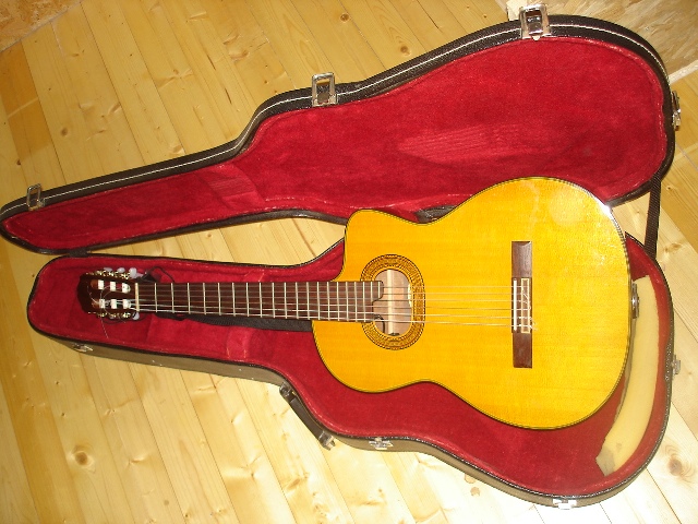Photo annonce Takamine electro acoustique Nylon E30