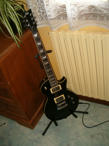 Photo annonce Guitare ESP LTD EC 400 Noir