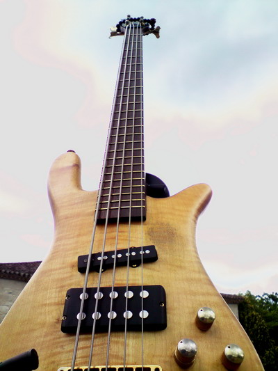 Photo annonce Warwick Streamer Jazzman 5 cordes