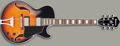 Photo annonce Guitare Electrique Hollow Body