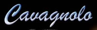 Photo annonce Accordeon Cavagnolo compact