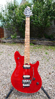 Photo annonce Peavey EVH Wolfgang US