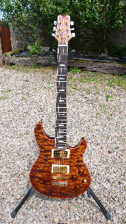 Photo annonce Peavey HP custom USA micros PRS Dragon 2