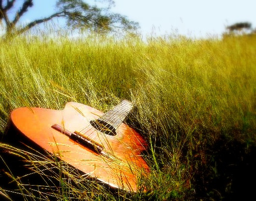 Photo annonce Guitare classique & Housse Accordeur