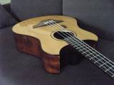 Photo : Basse Wechter 9400 Custom