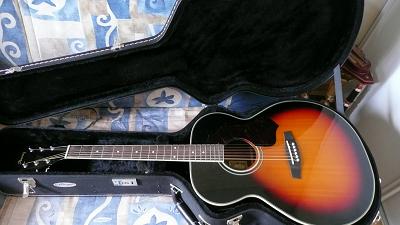 Photo annonce IBANEZ SGT 130 EVS