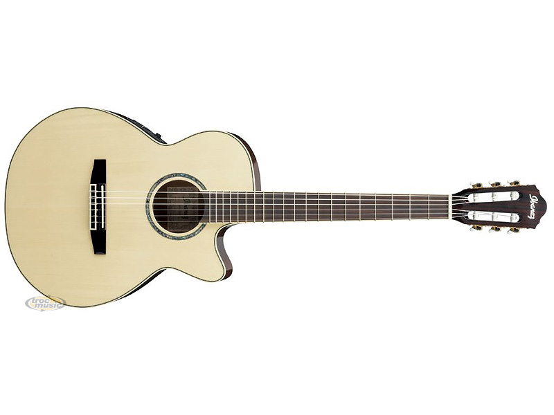 Photo annonce Ibanez AEG10 NE NT electro acoustique