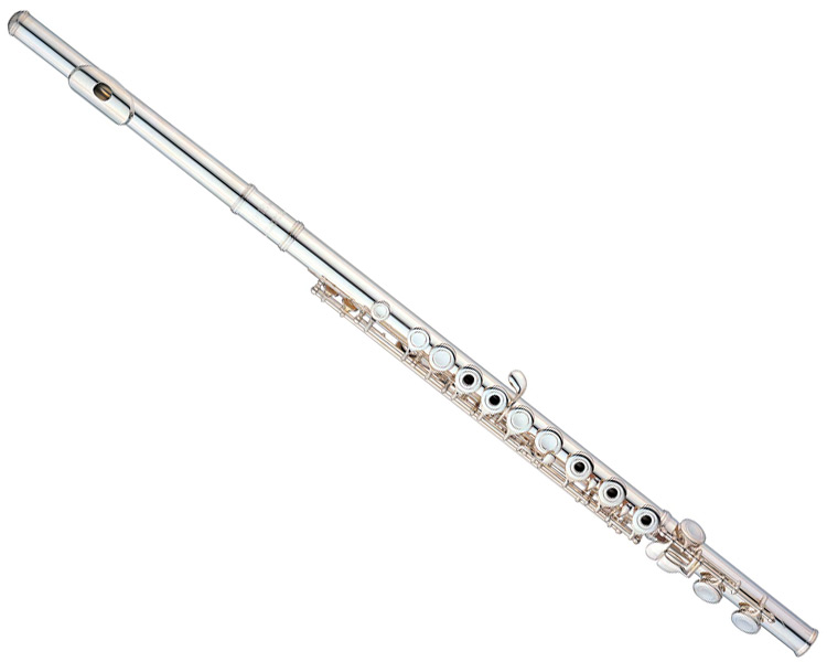 Photo annonce Cours de Flute Traversiere enfants adultes
