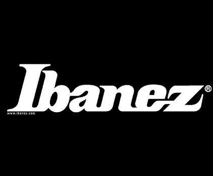 Photo : IBANEZ FG 100