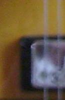 Photo : Gibson 175 1973