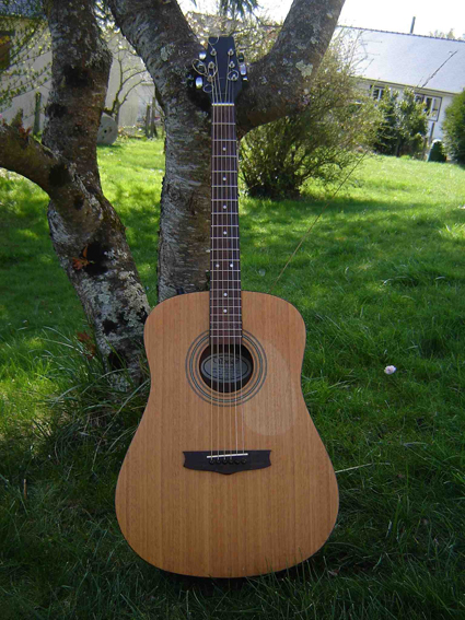 Photo annonce FOLK VANTAGE electro acoustique VIS 1F