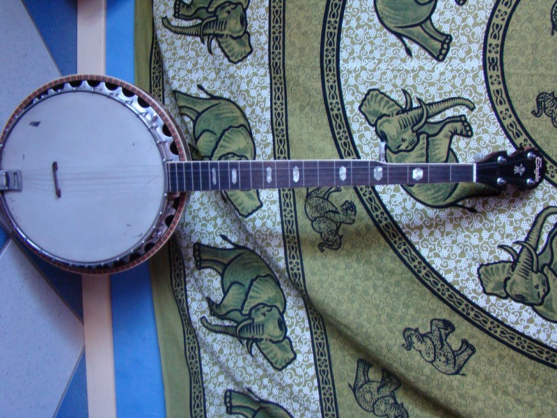 Photo : BANJOS