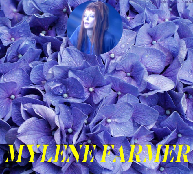 Photo annonce  2 PLACES CONCERT MYLENE FARMER
