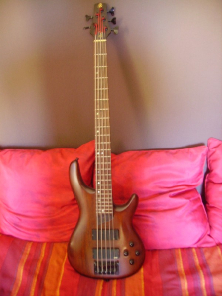 Photo annonce Basse 5 Cordes CORT Artisan