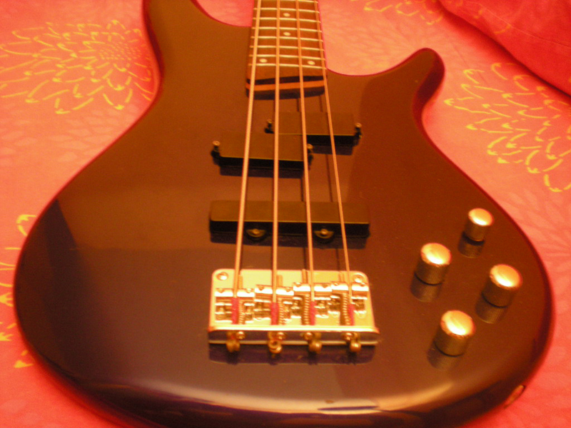Photo annonce IBANEZ SR 300 DX & housse