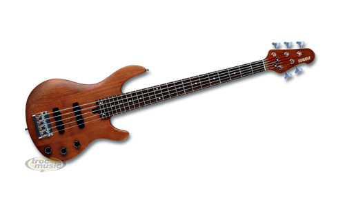 Photo annonce YAMAHA BBN5 II