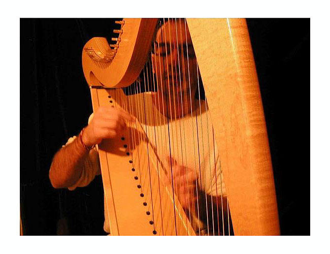 Photo : Cours particulier de Harpe Celtique