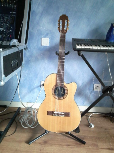 Photo annonce Gibson Chet Atkins CEC