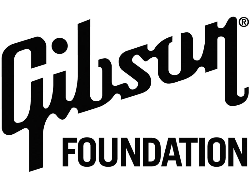 Photo annonce Gibson NightHawk