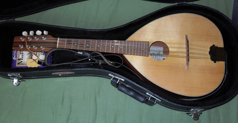 Photo annonce Mandoline acoustique mid missouri M 1