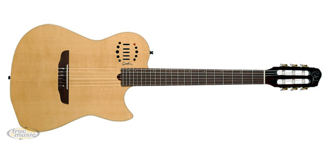 Photo annonce Guitare Godin Multiac Duet