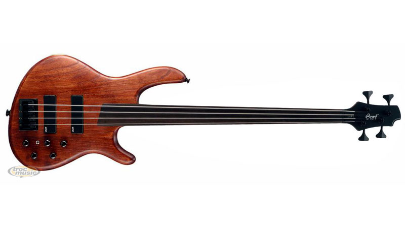 Photo annonce Basse Fretless Cort
