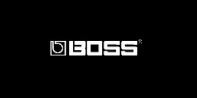 Photo annonce LOT PEDALES BOSS