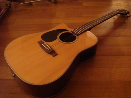 Photo : Electro Acoustique Takamine G Serie Gaucher