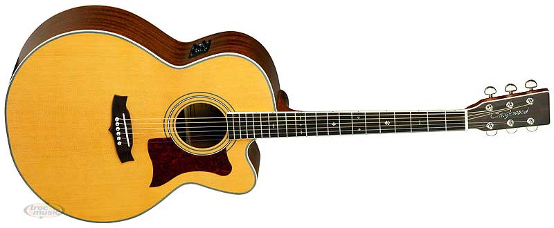 Photo : Tanglewood TW55