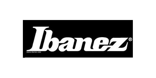 Photo : Ibanez AM 50