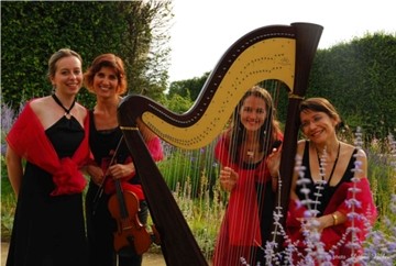 Photo : Animations musicales Harpe et Chant