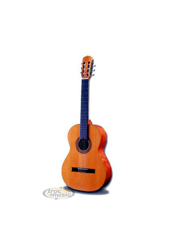 Photo : Guitare Classique Raimundo