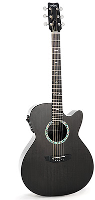 Photo : Guitare electro acoustique Rainsong CO WS1000