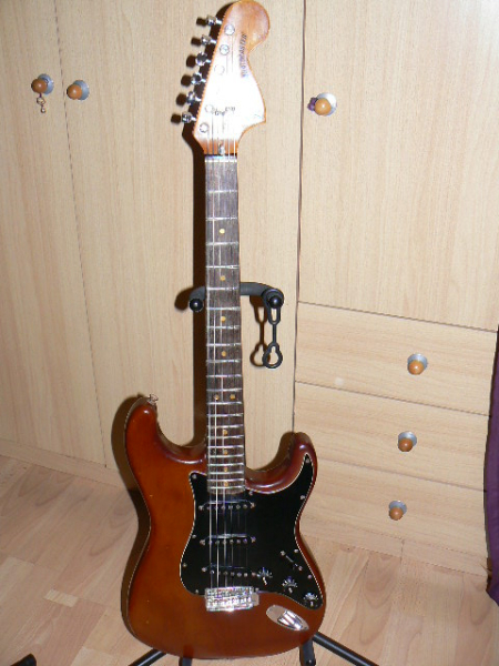 Photo annonce Fender Stratocaster US 79