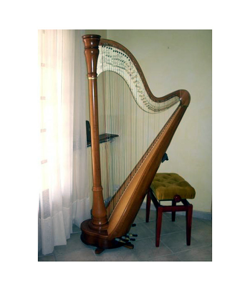Photo : Harpe de concert Athena 47 cordes