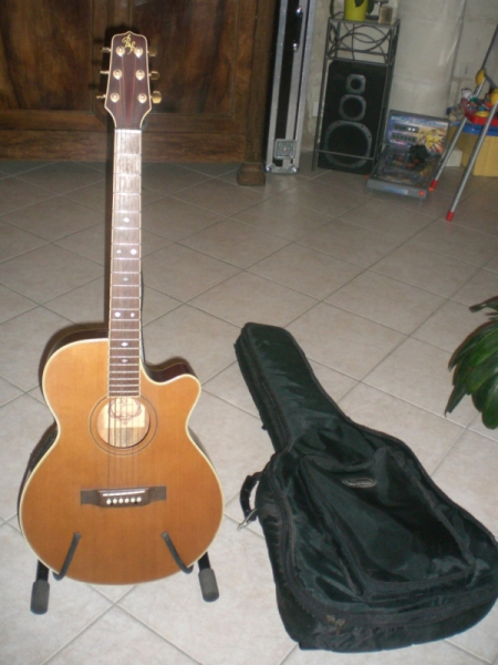Photo annonce Guitare electro acoustique Bill & Beanie