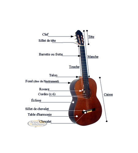 Photo annonce Cours de guitare sur PAU et alentours