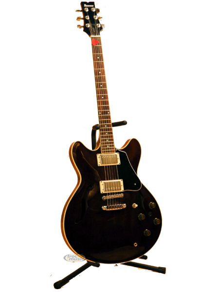 Photo annonce Ibanez AS 100